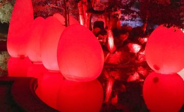 チームラボ 広島城 光の祭