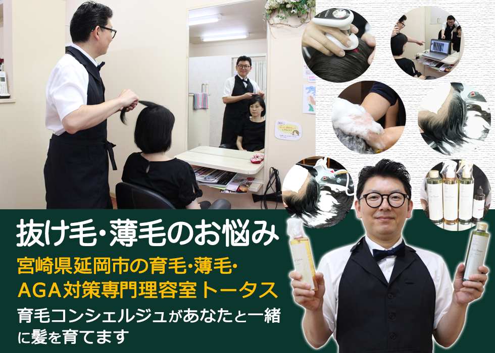 宮崎県延岡市の美容室トータスさんのホームページ完成！