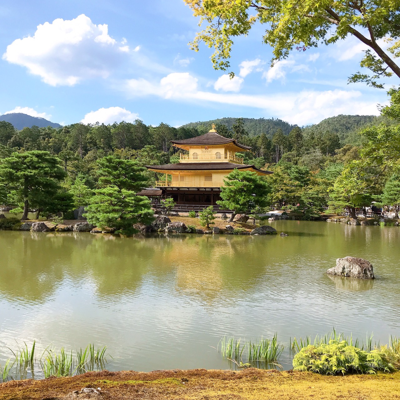 金閣寺