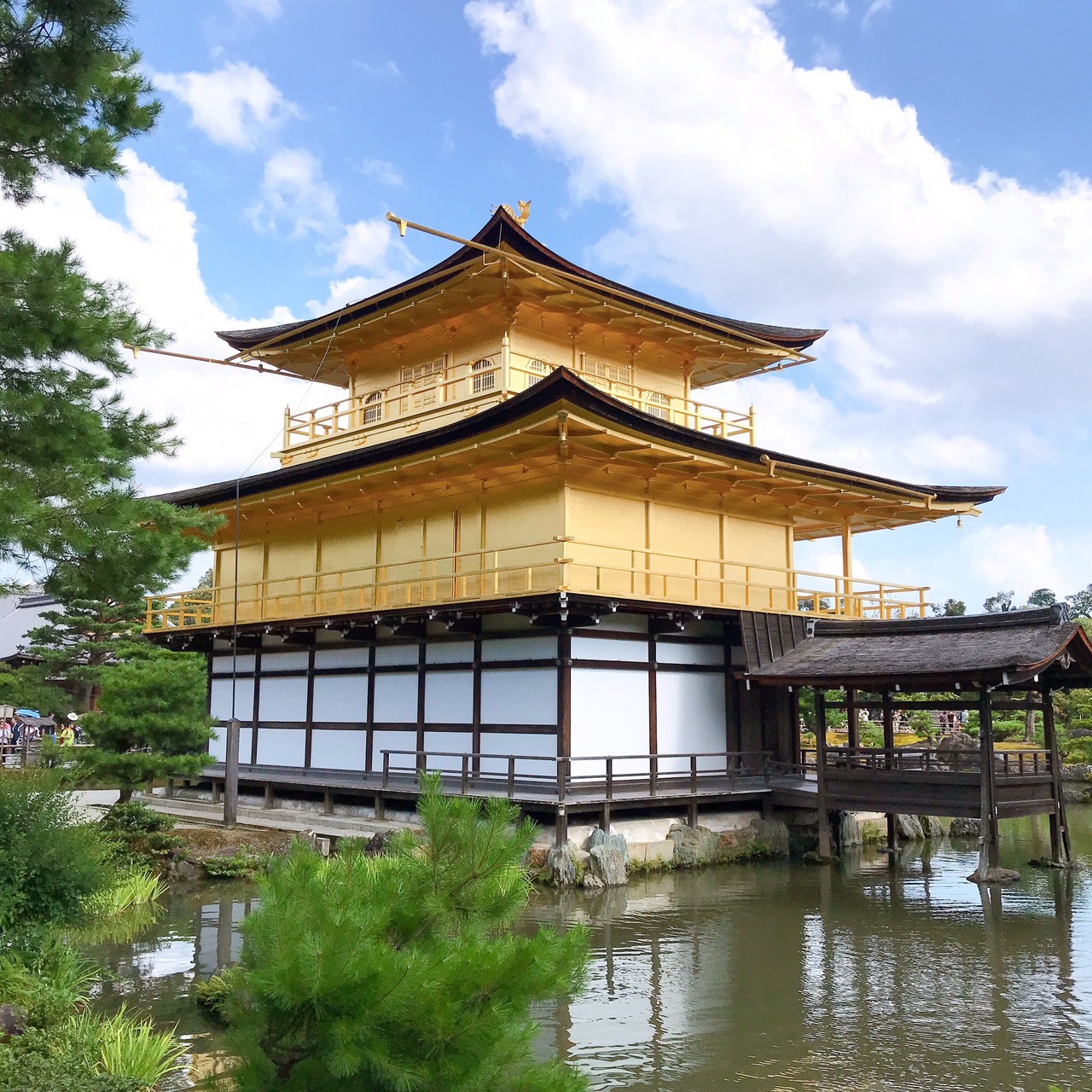 金閣寺アップ