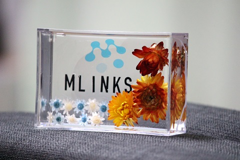 MLINKS