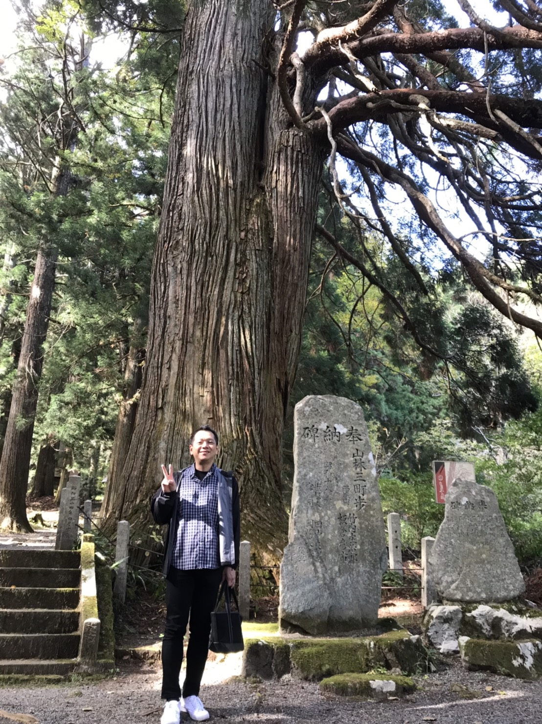 樹齢約1000年広島県下第2位の大きさの老杉