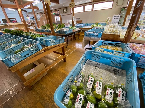 君田温泉 森の泉