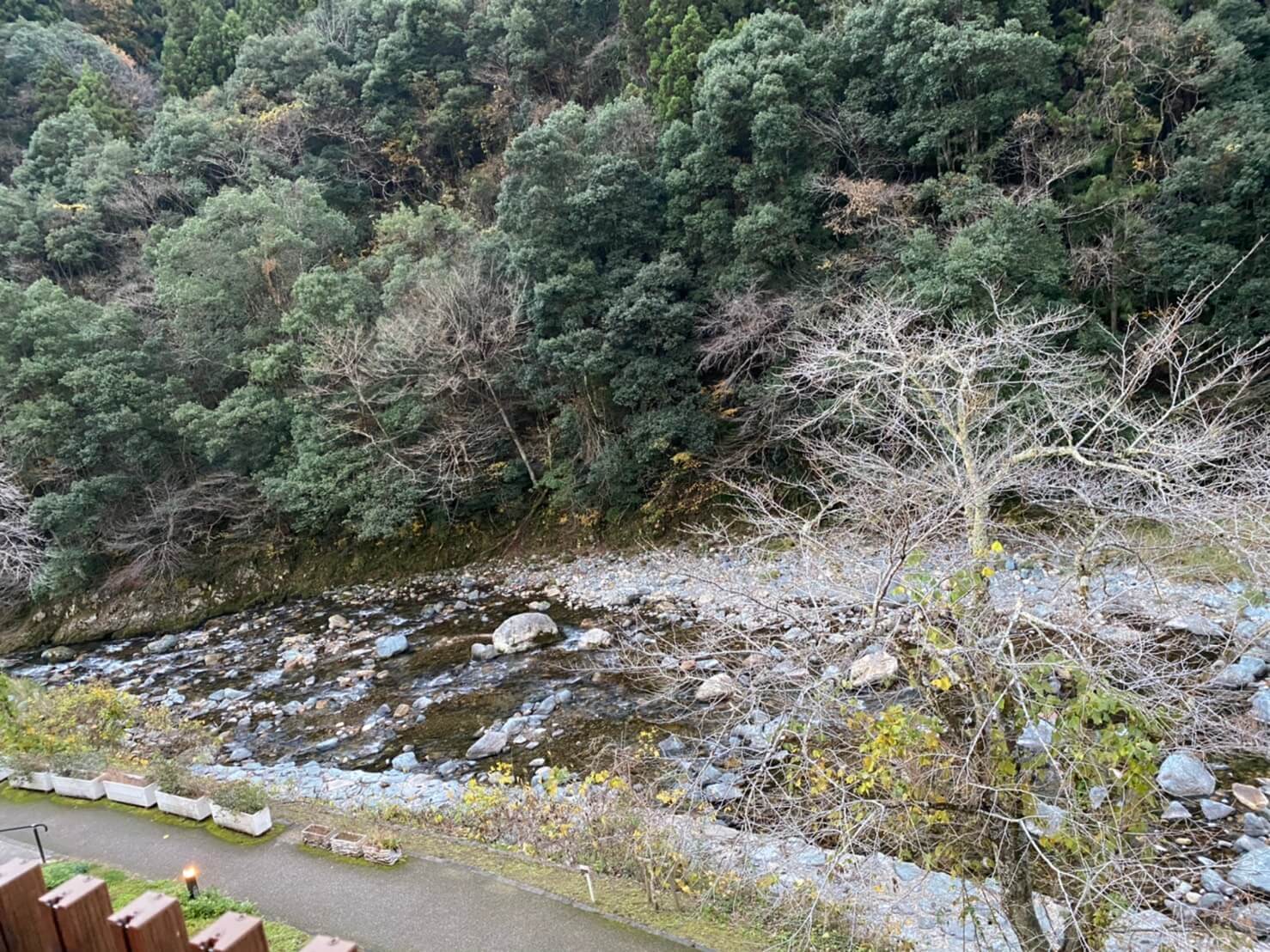 裏の川