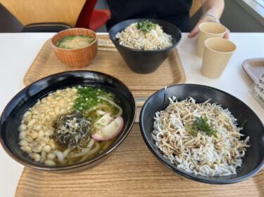 瀬戸の音戸の釜揚げしらす丼