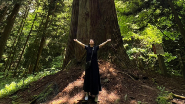 イザナミノミコトが祀られている庄原の熊野神社
