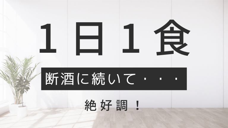 断酒に続いて1日1食│広島のホームページ制作会社『合同会社エムリンクス』