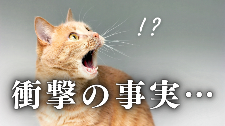 あなたのホームページ、最終更新日が1年前ってマジですか？