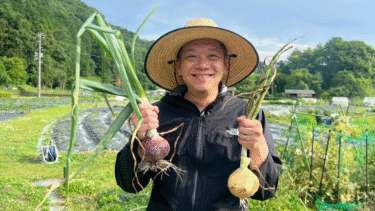 玉ねぎ収穫祭り！玉ねぎ収穫で謎の達成感！